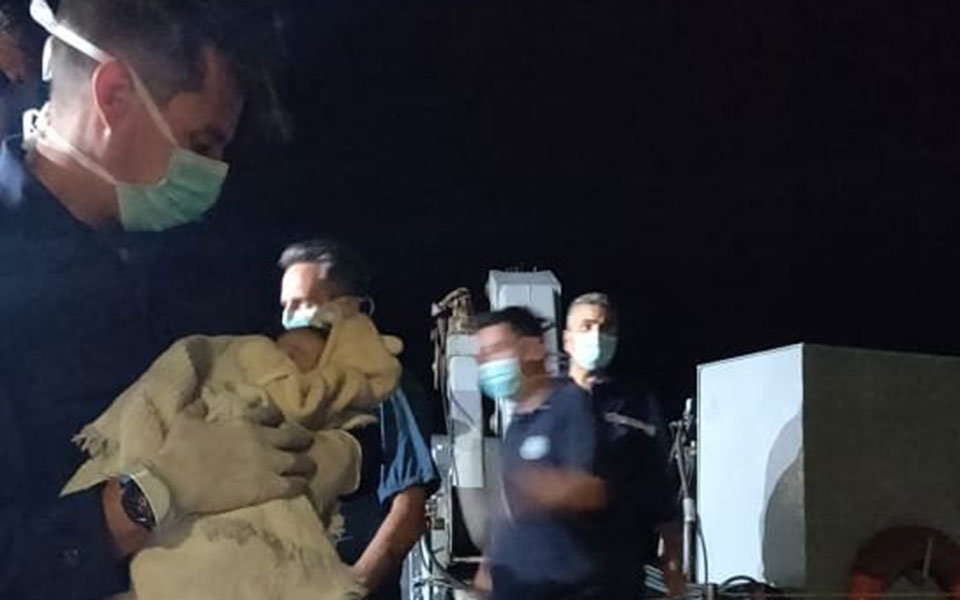 μεταναστευτικό-βρέφος-ενός-μηνός-ανά-561933034