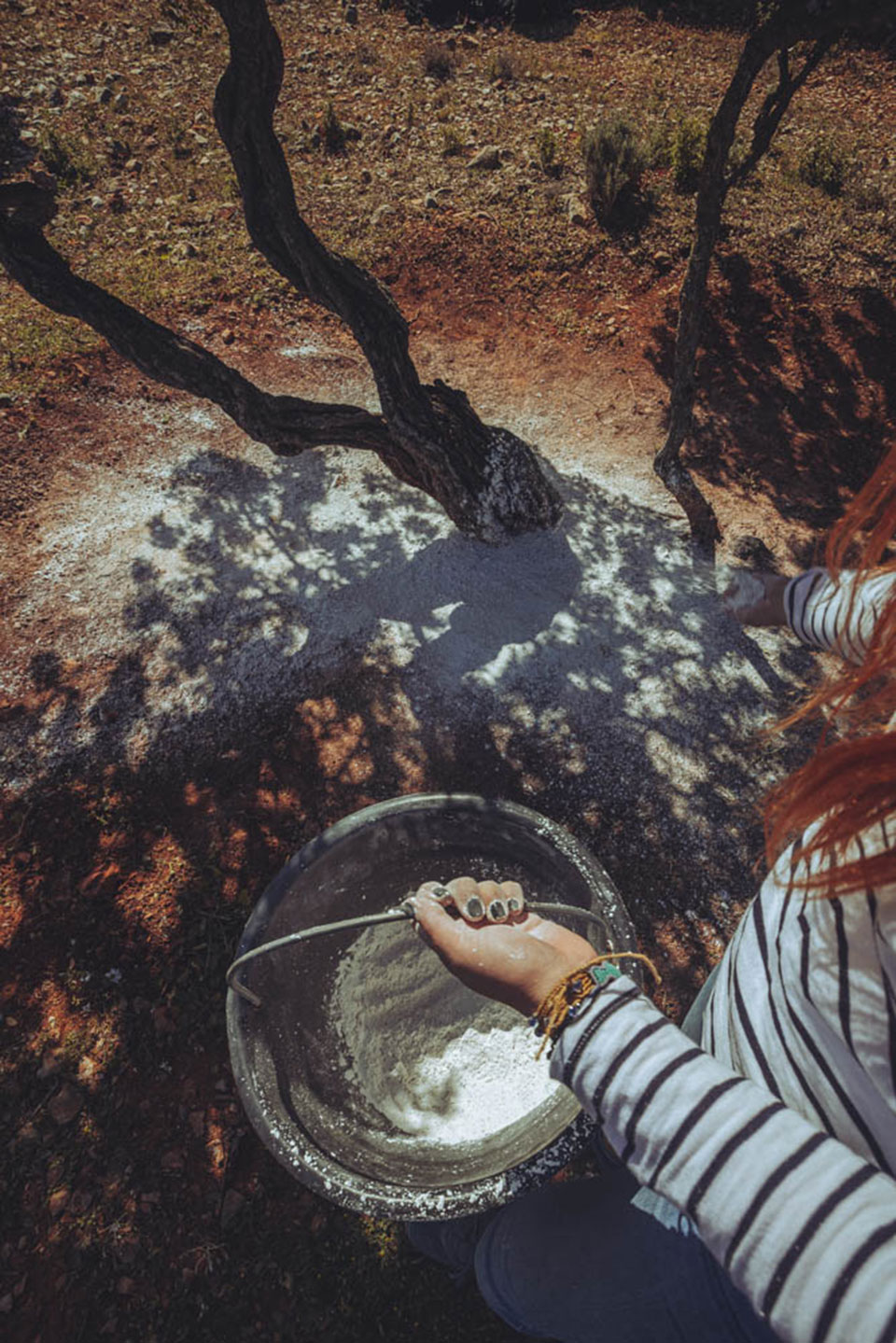 Μαστιχοπαραγωγός για μια μέρα-1