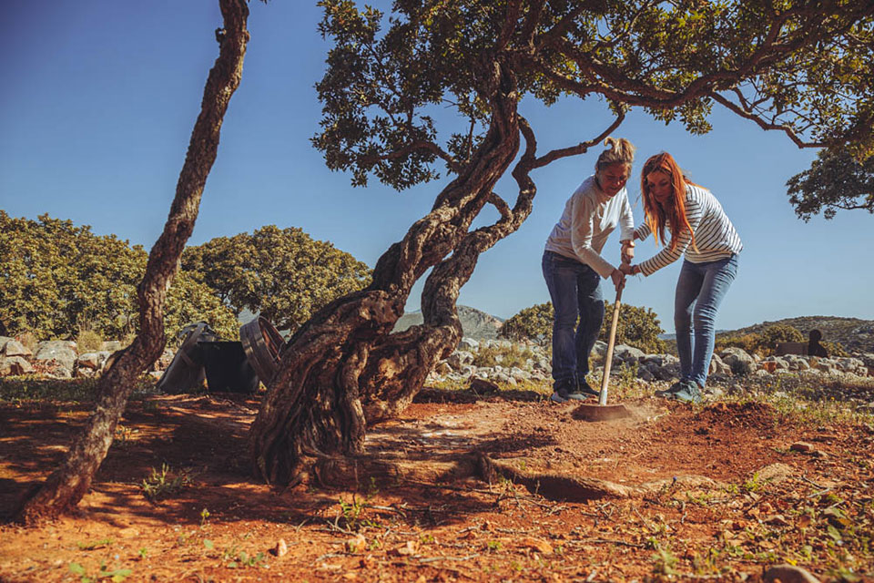 Μαστιχοπαραγωγός για μια μέρα-5