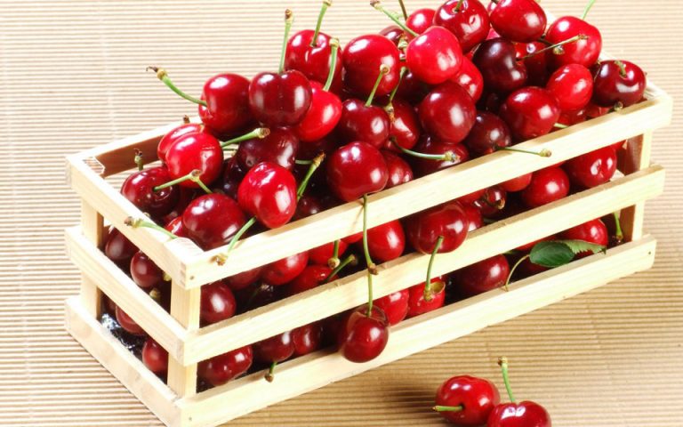 Φρούτα από… χρυσάφι: Γιατί διπλασιάστηκε φέτος η τιμή σε καρπούζια, κεράσια και βερίκοκα;-2