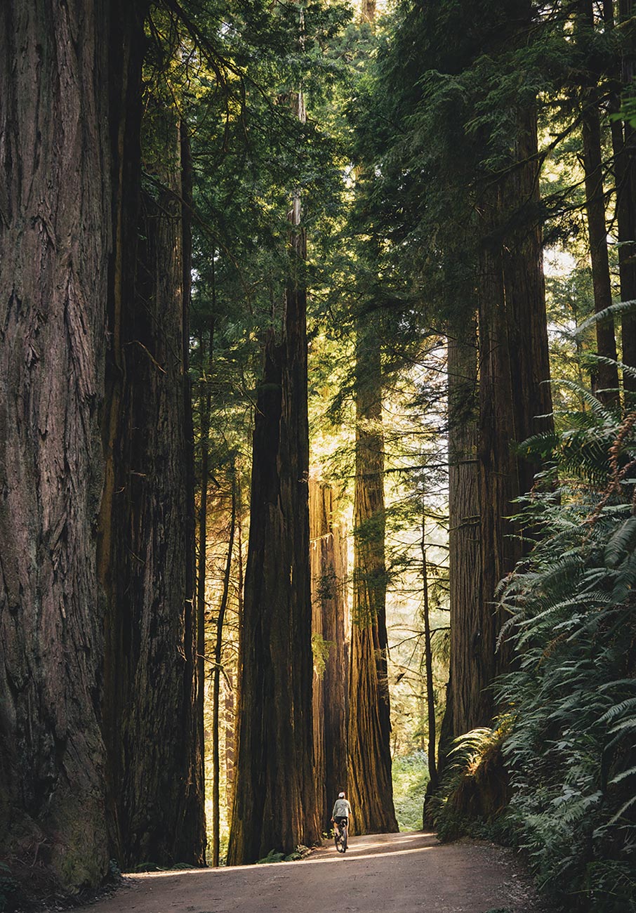 Martin Doolaard: O Ολλανδός φωτογράφος που έκανε πετάλι για 19.778 χιλιόμετρα-2