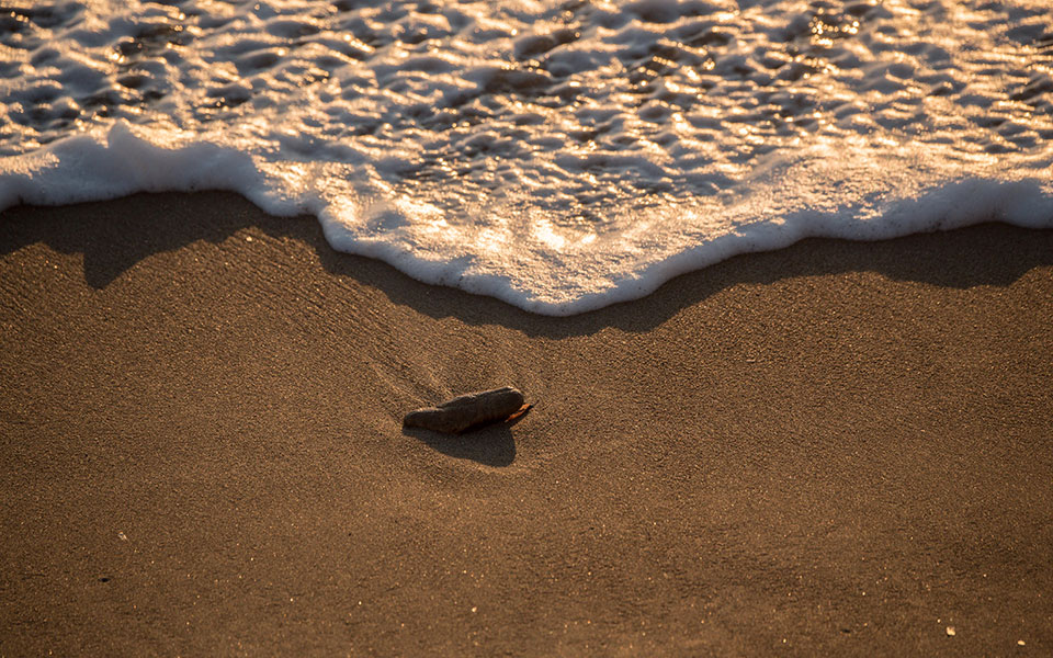 οπεκα-ξεκινούν-τα-προγράμματα-κοινων-561934873