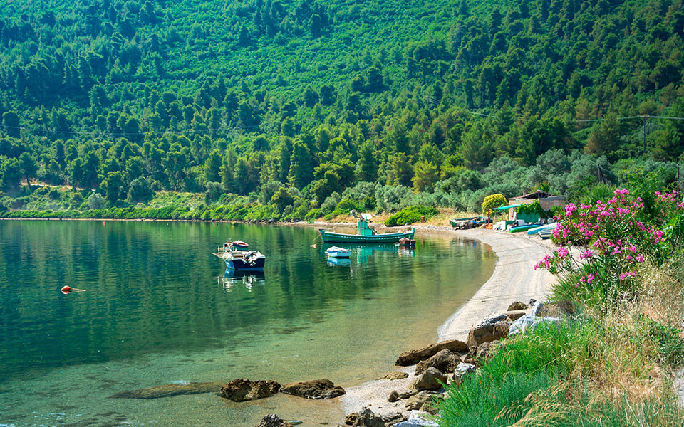 north-evia-samos-pass-άνοιξε-η-πλατφόρμα-βήμα-βήμα-η-561934576