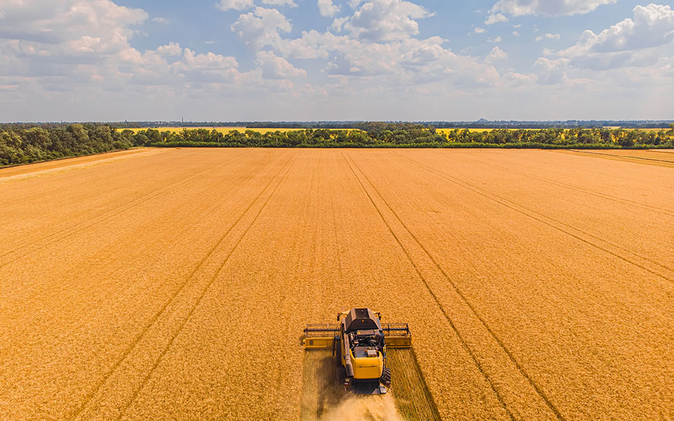 Mπρα ντε φερ για το σιτάρι του πλανήτη: Το διπλωματικό παζλ που καλούνται να λύσουν Δύση και Ρωσία-2