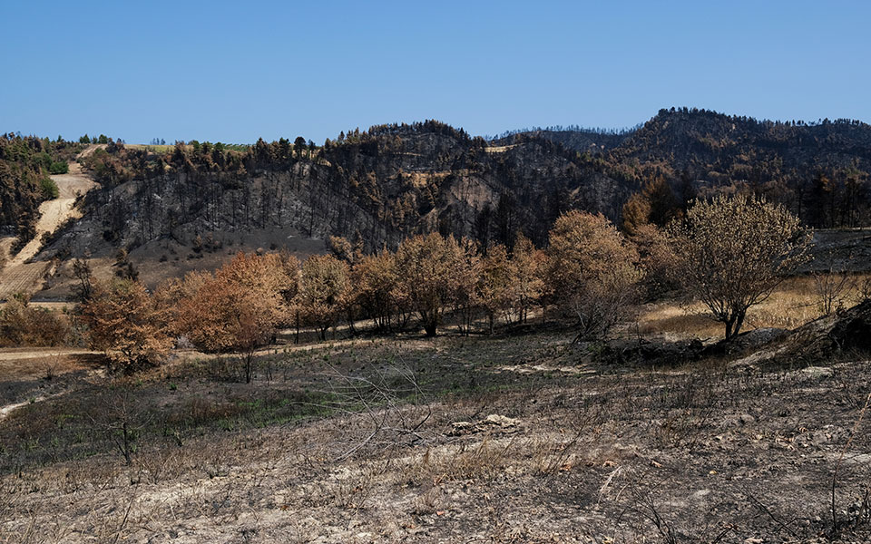 σοβαρός-κίνδυνος-για-τη-γη-μικρότερος-561890095