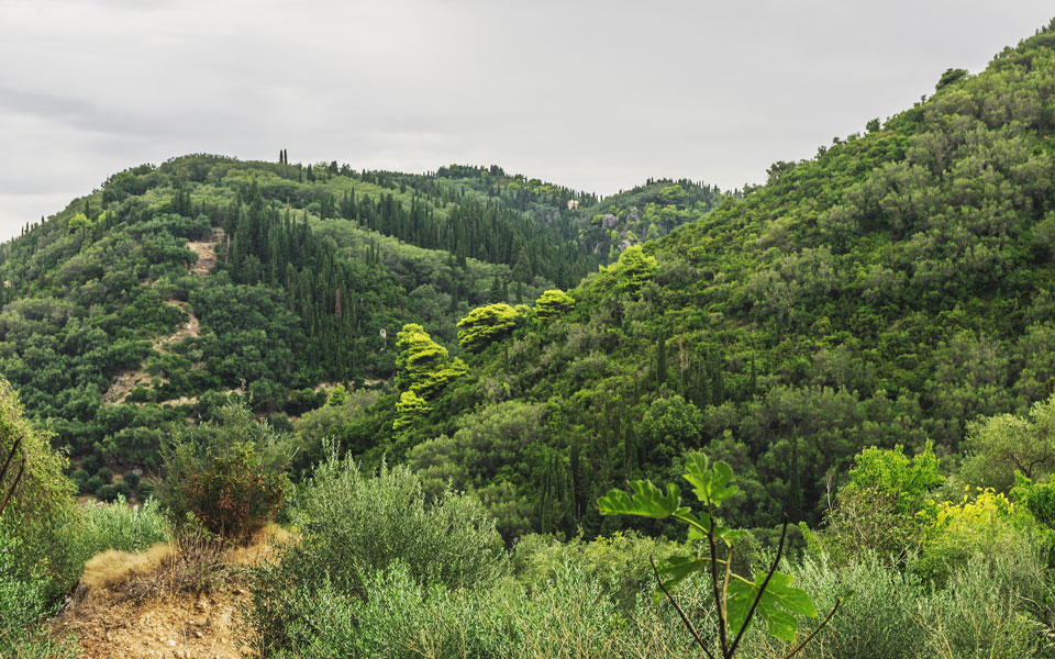θεωρίες-συνωμοσίας-και-δασικές-πυρκα-561930562