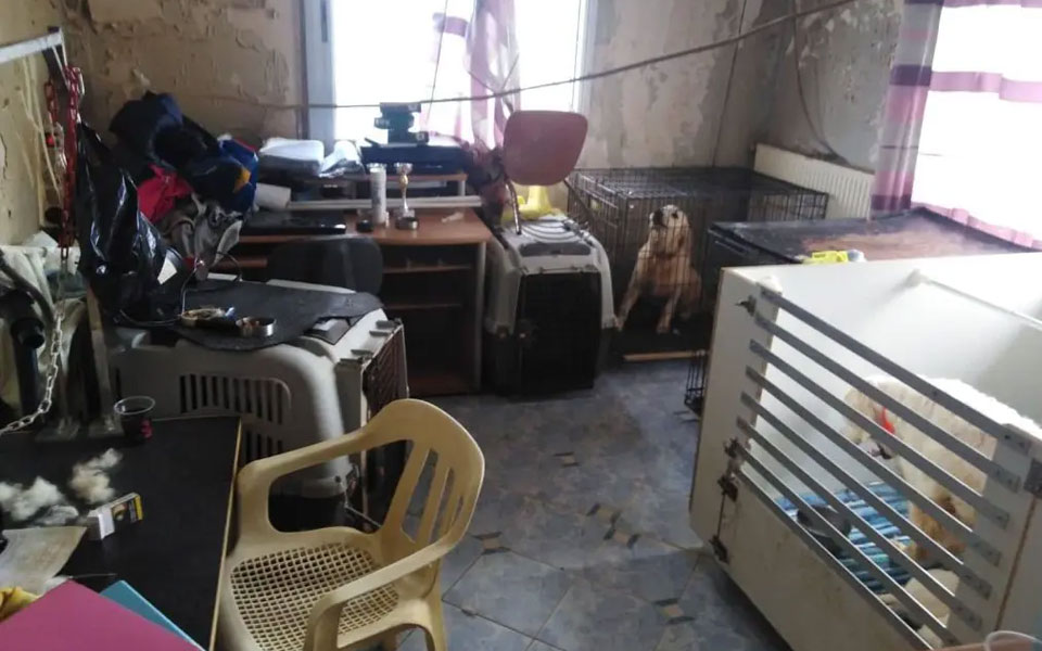 θεσσαλονίκη-δίωξη-στην-60χρονη-που-κρατ-561914032