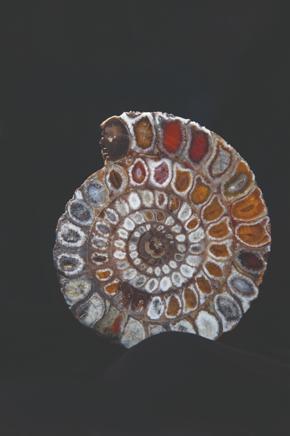 Στην Επίδαυρο δεν ταξιδεύουμε μόνο για τις αρχαίες τραγωδίες-2