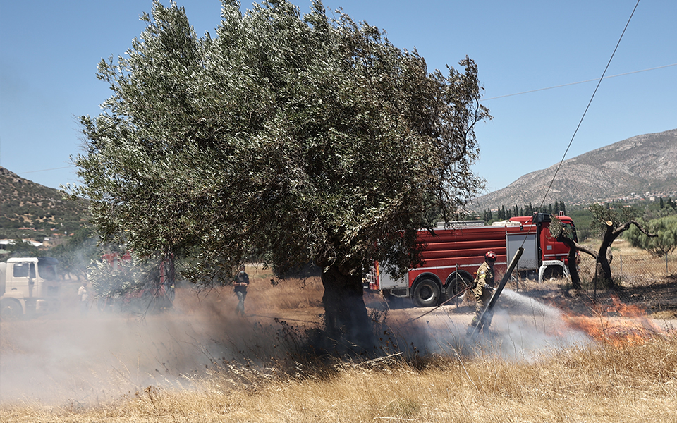 καλή-χαρακτηρίζεται-πια-η-εικόνα-της-π-561958195