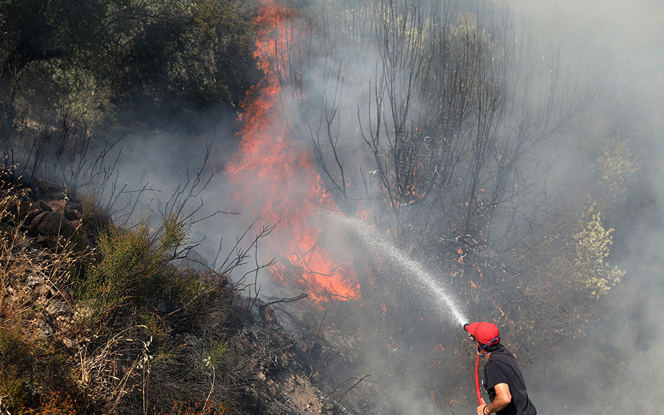 σε-ύφεση-από-το-μεσημέρι-η-φωτιά-στη-νότ-561977392