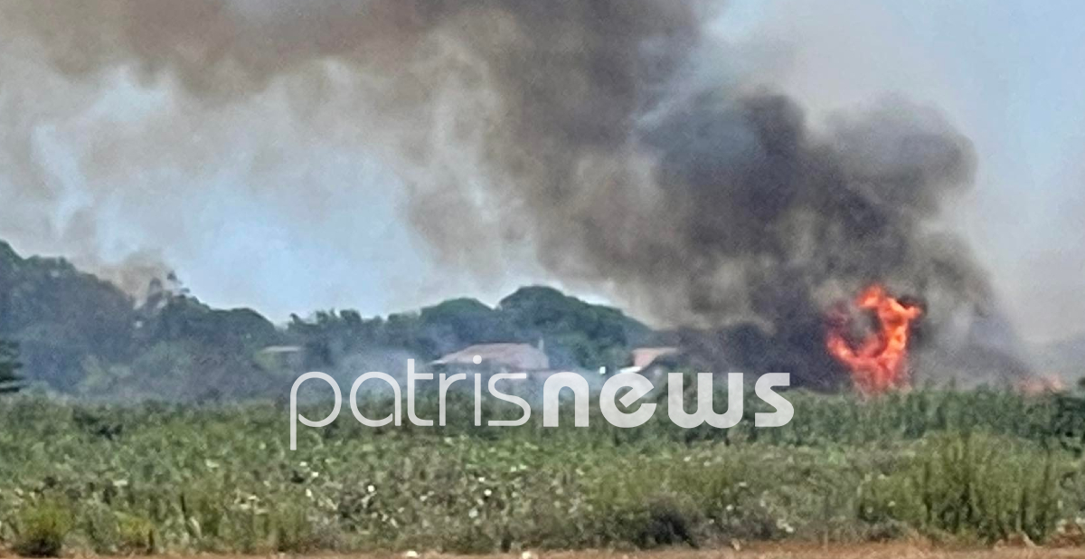 Πυρκαγιές στη Σπιάντζα Ηλείας και στη Βρυσούλα Πρέβεζας-1