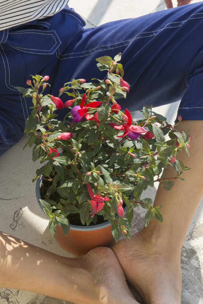 Τα φυτά που θα δώσουν στο μπαλκόνι σας άρωμα καλοκαιριού-1