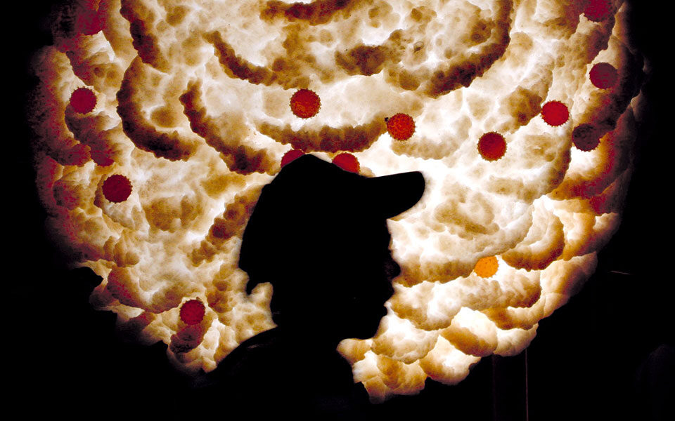 ευλογιά-των-πιθήκων-το-ίδιο-συνέβη-κα-561981049