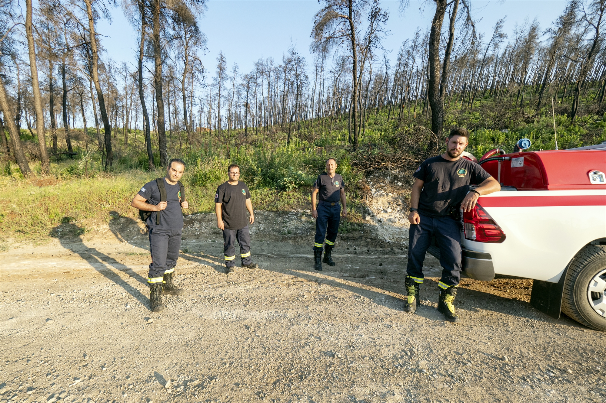 Εύβοια, ένας χρόνος μετά: «Λες και η στάχτη έγινε λίπασμα»-6