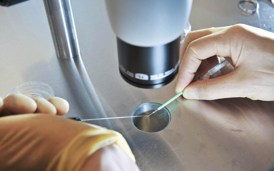 η-σχέση-γονιμότητας-και-εισοδήματος-561977002