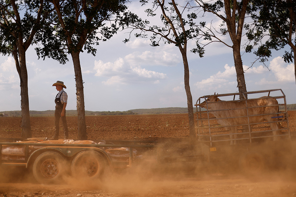 χωρίς-δάση-561953224