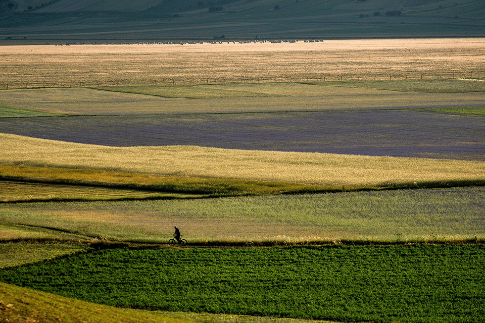 τι-απώλεια-561942427