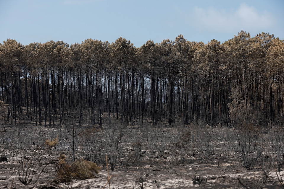 γαλλία-ισπανία-σε-ύφεση-το-μέτωπο-τω-561967372