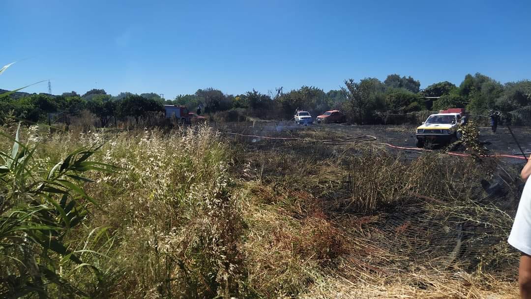 Μάχη σε πολλαπλά πύρινα μέτωπα: Σε εξέλιξη φωτιές σε Σχηματάρι, Φωκίδα και Ζάκυνθο – Αναζωπύρωση στην Ηλεία-7