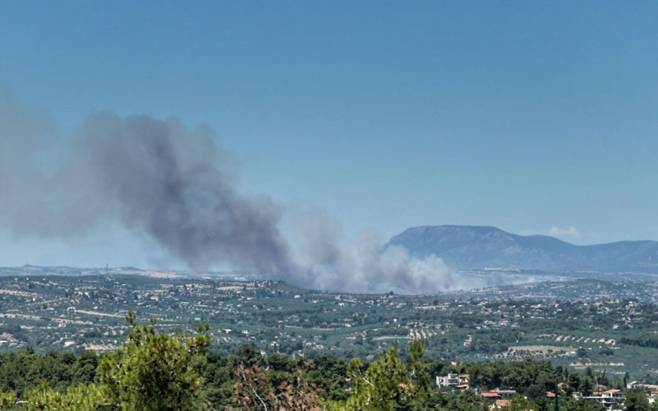 πυροσβεστική-52-δασικές-πυρκαγιές-το-τε-561940294