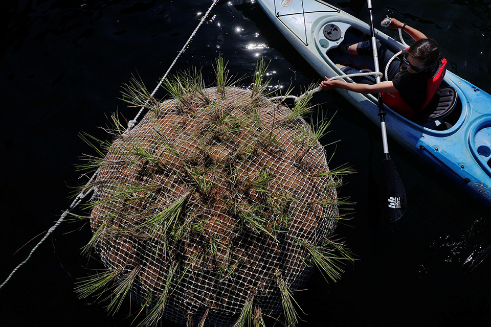Δημιουργία νησιών 