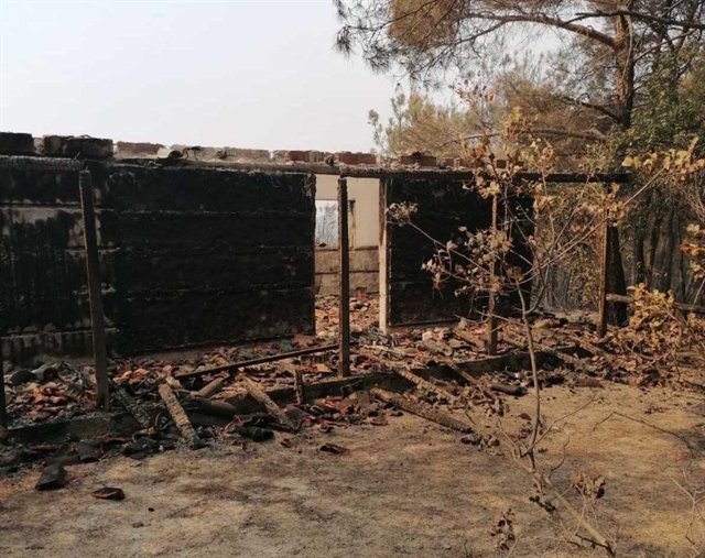 Βαθιές οι οικολογικές πληγές στη Δαδιά-2