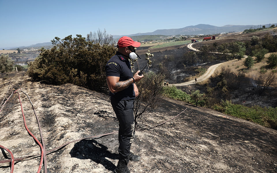 χαλκιδική-τρεις-δασικές-φωτιές-σε-κασ-561972301