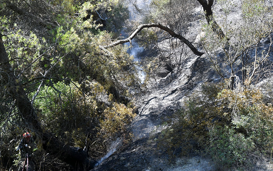φωτιά-στην-αχαΐα-ενεργοποίηση-της-υπη-561962341
