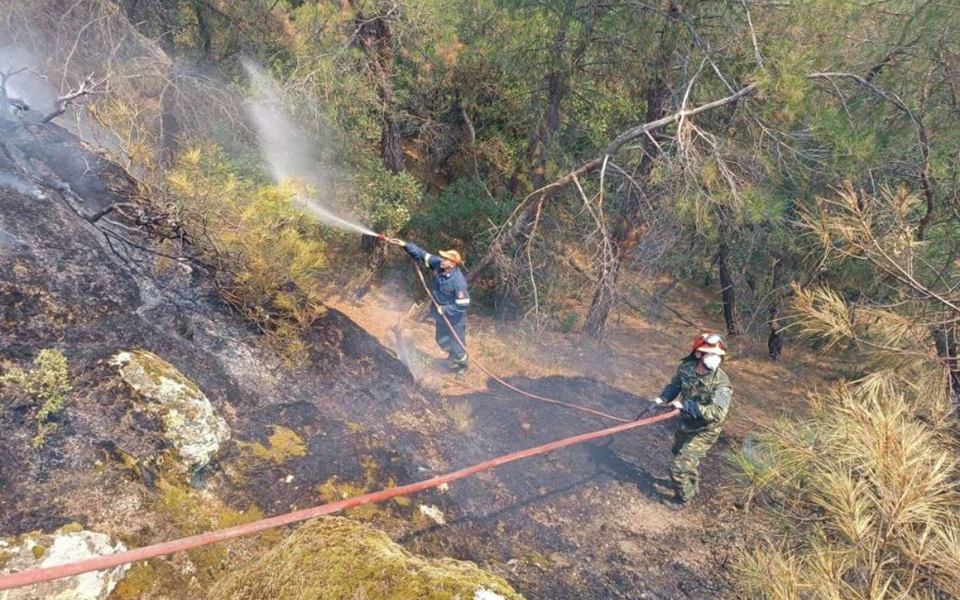 στυλιανίδης-για-τη-φωτιά-στη-δαδιά-στο-561972310