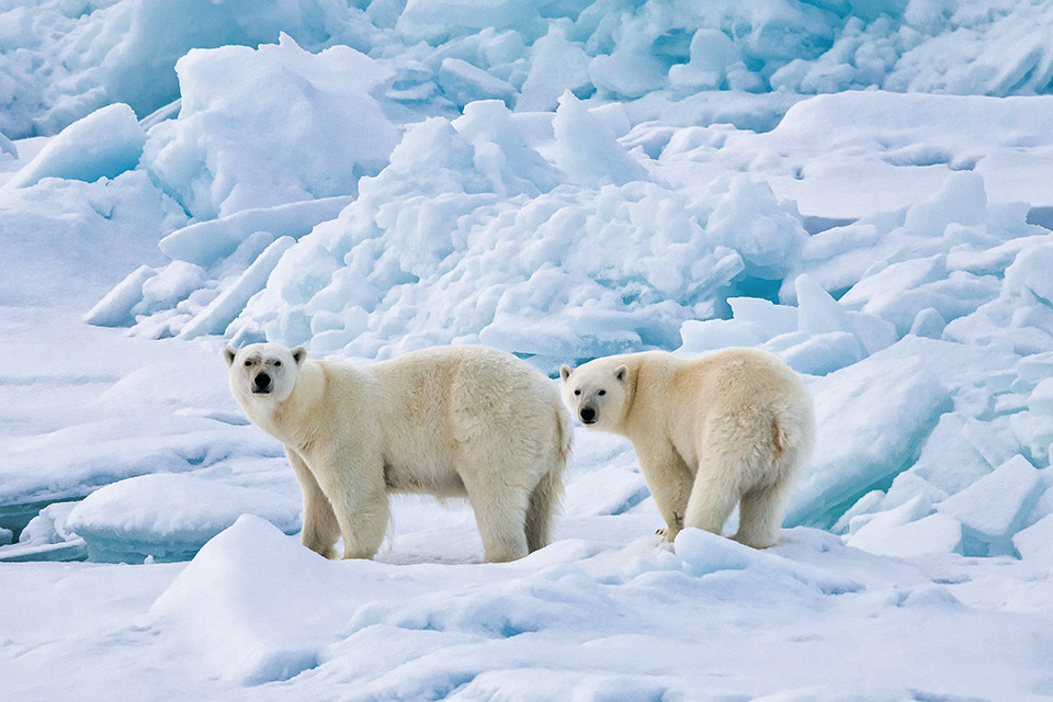 Κρουαζιέρα στο Βόρειο Πόλο με το «Le Commandant Charcot»-2