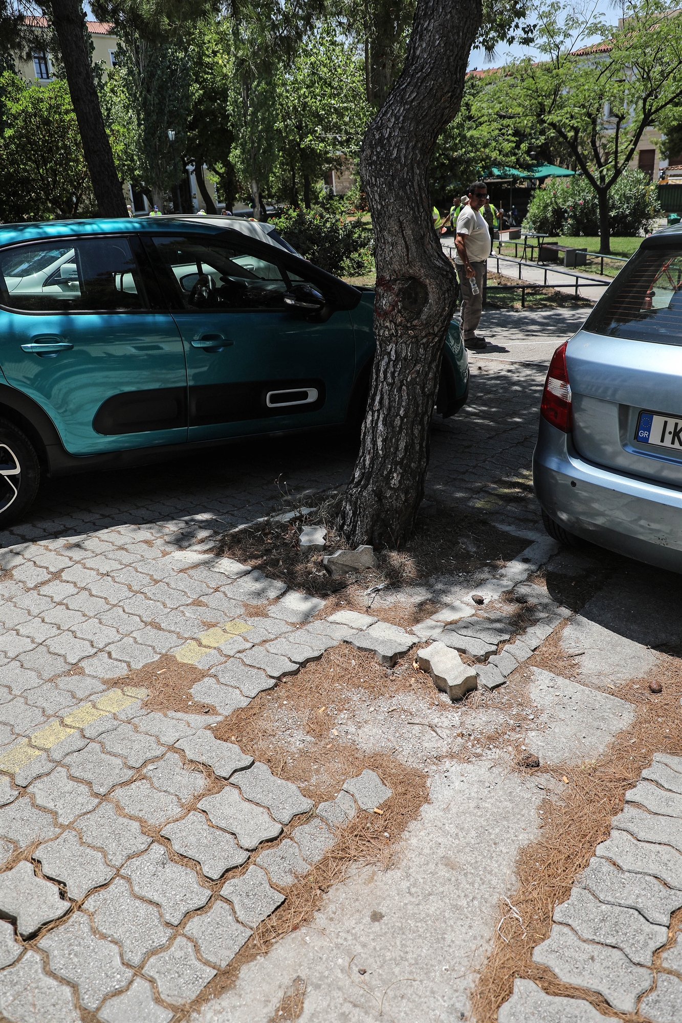 Δικαστήρια για άτομα χωρίς αναπηρία-1