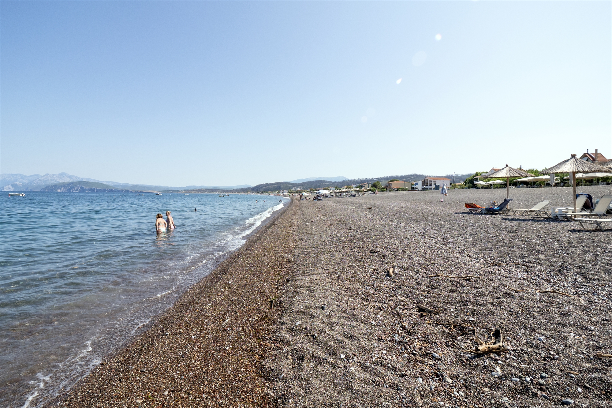 Εύβοια, ένας χρόνος μετά: «Λες και η στάχτη έγινε λίπασμα»-7