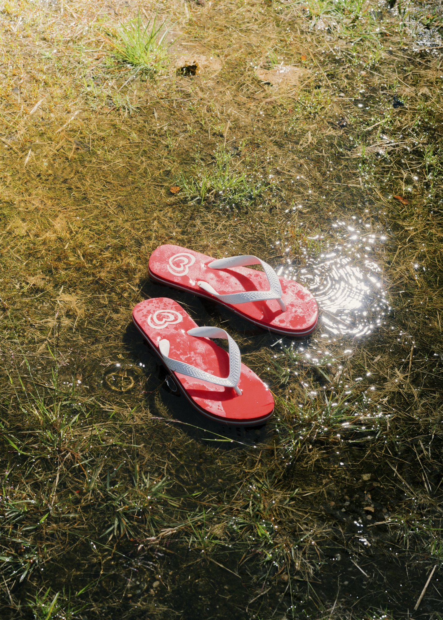 Το ξέγνοιαστο καλοκαίρι δεν ήρθε ποτέ-2