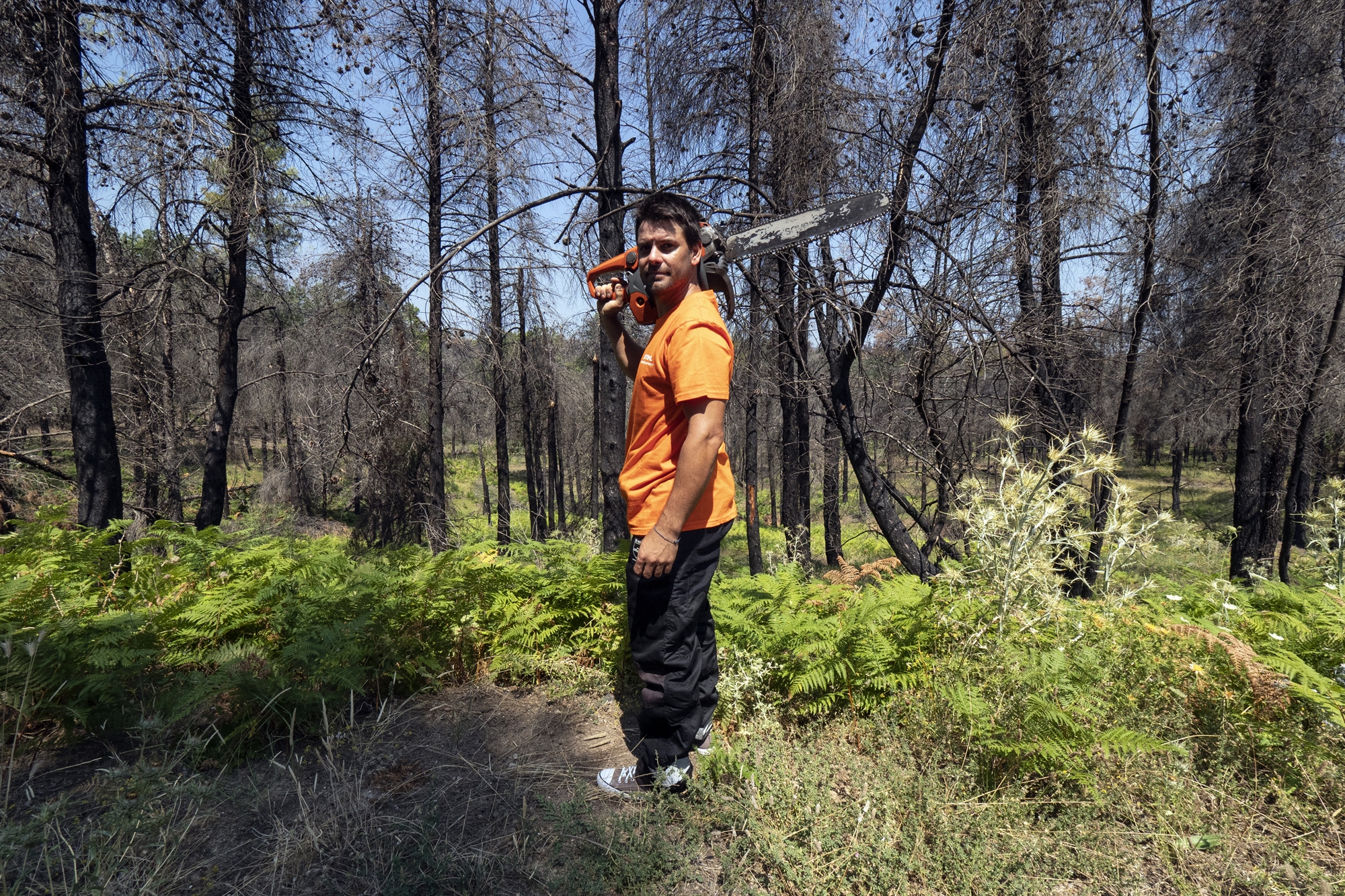 εύβοια-ένας-χρόνος-μετά-λες-και-η-στά-561980074