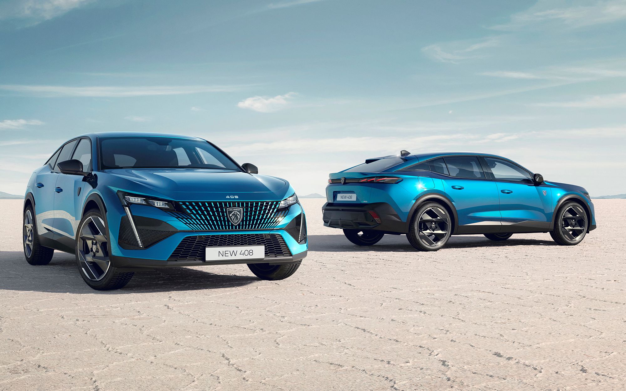 γαλλική-φινέτσα-με-σήμα-τον-λέοντα-561949102