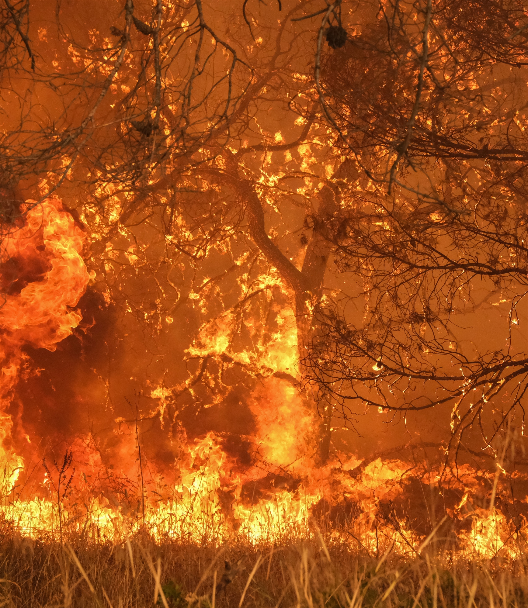 κόρινθος-φωτιά-σε-δασική-έκταση-στο-ξυ-561966295