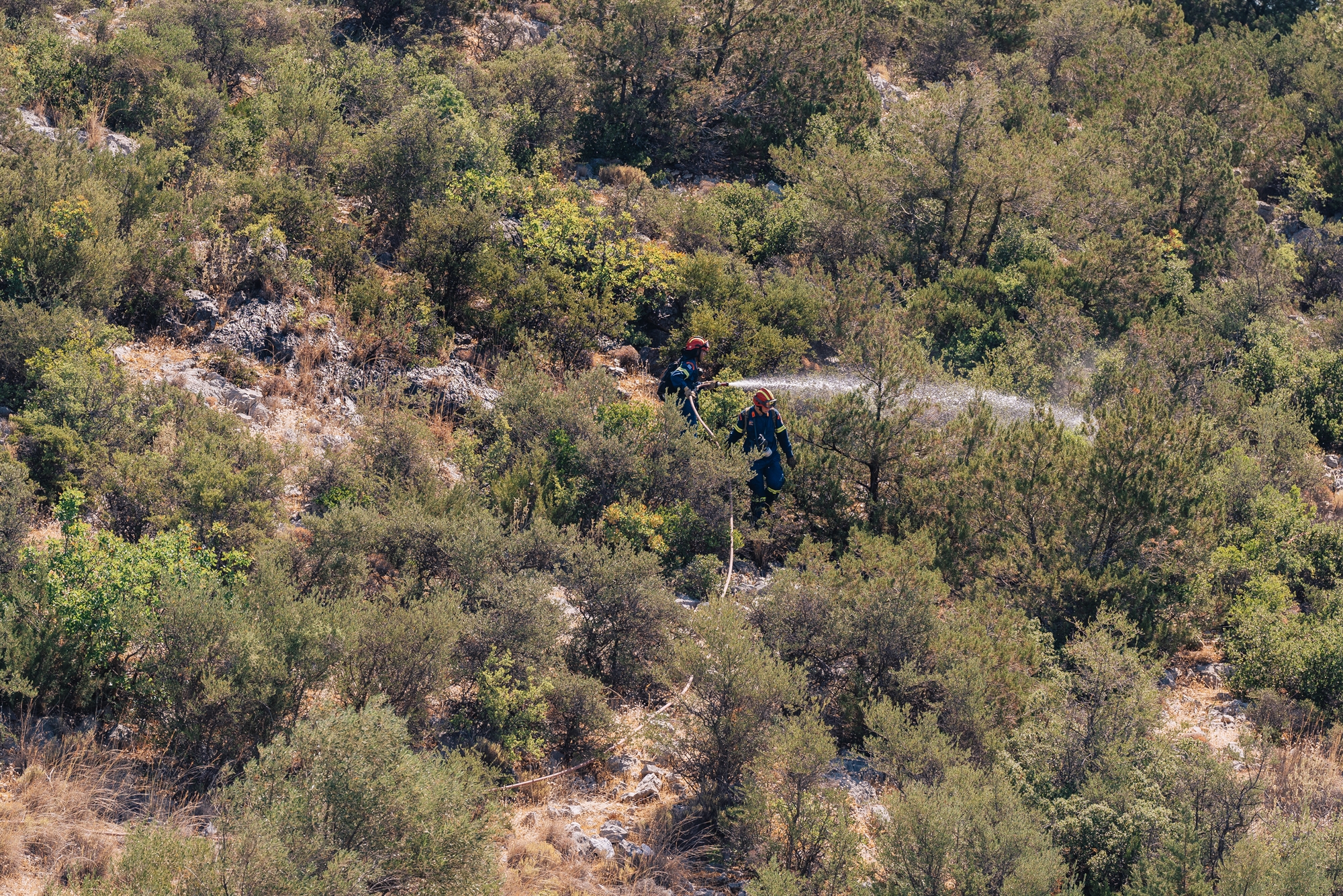 Οι πρώτοι δασοκομάντος εν δράσει – Η «Κ» στο στρατηγείο τους-1