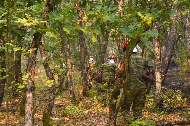 διάνοιξη-αντιπυρικών-ζωνών-με-τη-μέθο-561972982