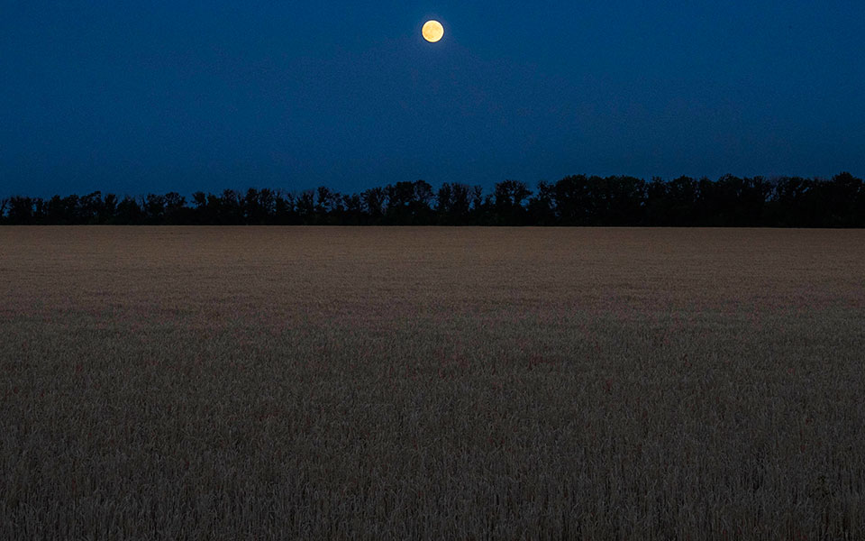 οηε-ουκρανία-ρωσία-και-τουρκία-συζητο-561954268