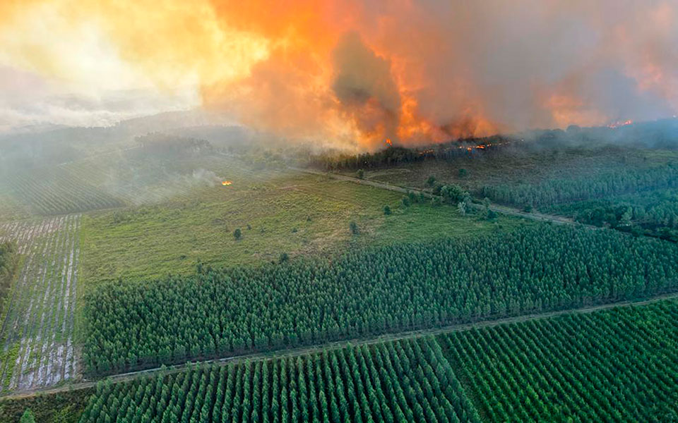 «Η κλιματική αλλαγή επηρεάζει τους πάντες»: Καύσωνας διαρκείας και πυρκαγιές δοκιμάζουν την Ευρώπη-3
