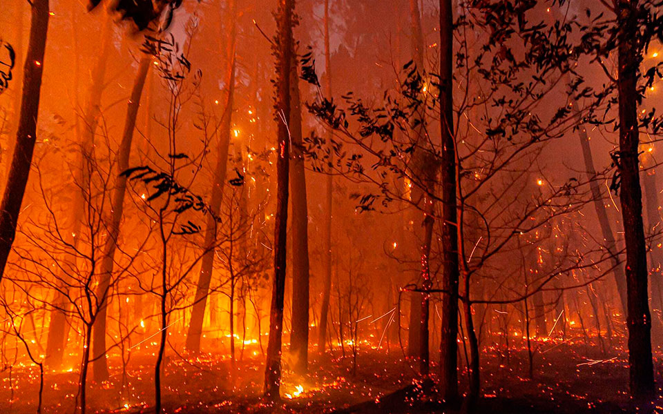 «Η κλιματική αλλαγή επηρεάζει τους πάντες»: Καύσωνας διαρκείας και πυρκαγιές δοκιμάζουν την Ευρώπη-5