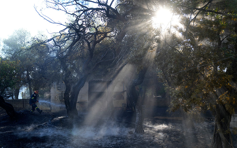 δήμαρχος-μεγαρέων-στην-κ-καλύτερη-η-561966151