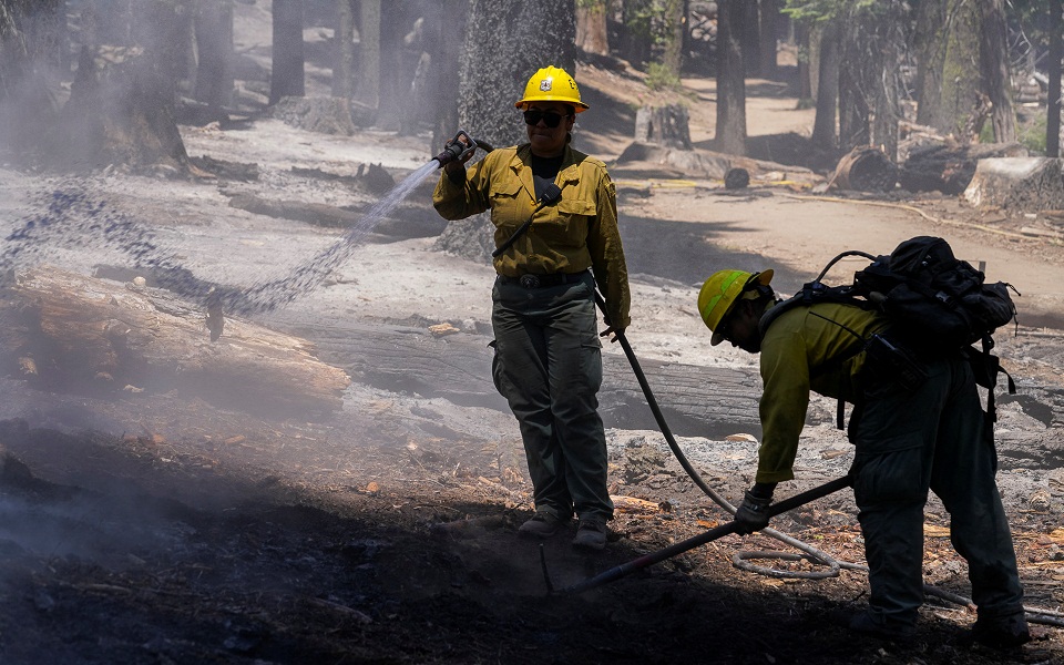 ηπα-πολίτες-συνέλαβαν-εμπρηστή-και-το-561975103