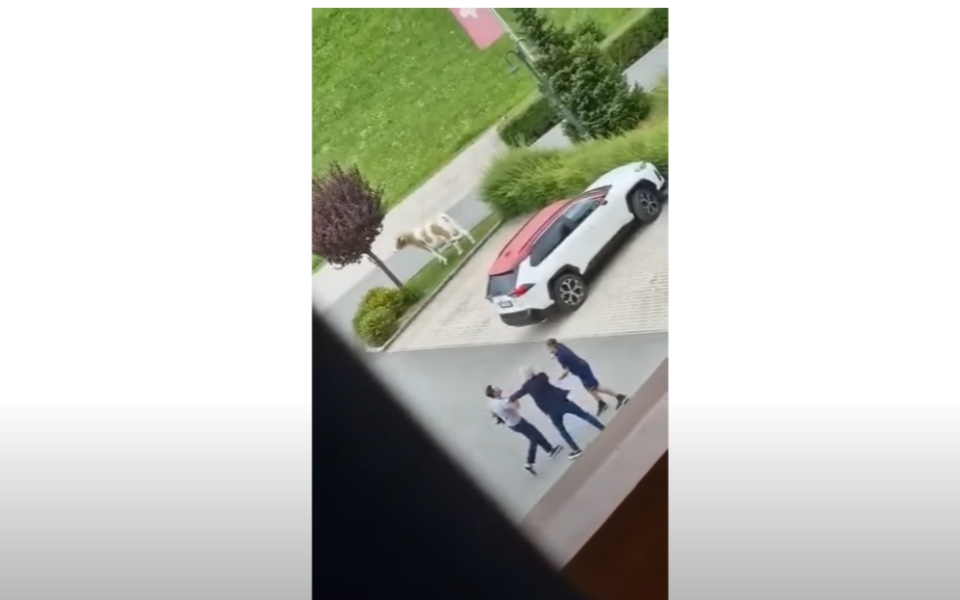 τορίνο-ο-προπονητής-πιάστηκε-στα-χέρι-561977218