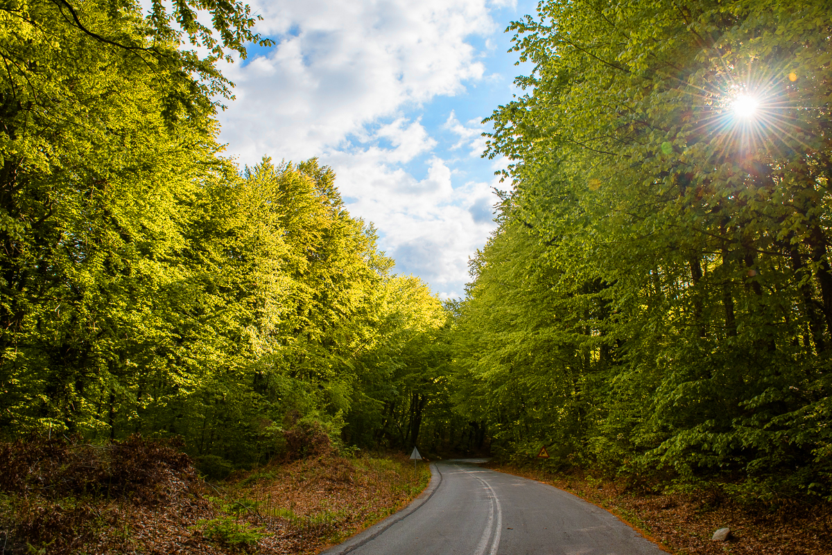 η-ελληνικός-χρυσός-συζητά-ανοιχτά-με-τ-561972808