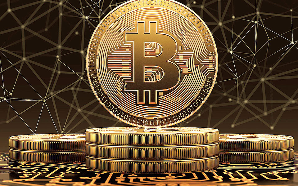 οι-γαρίδες-και-οι-φάλαινες-στηρίζ-561954391