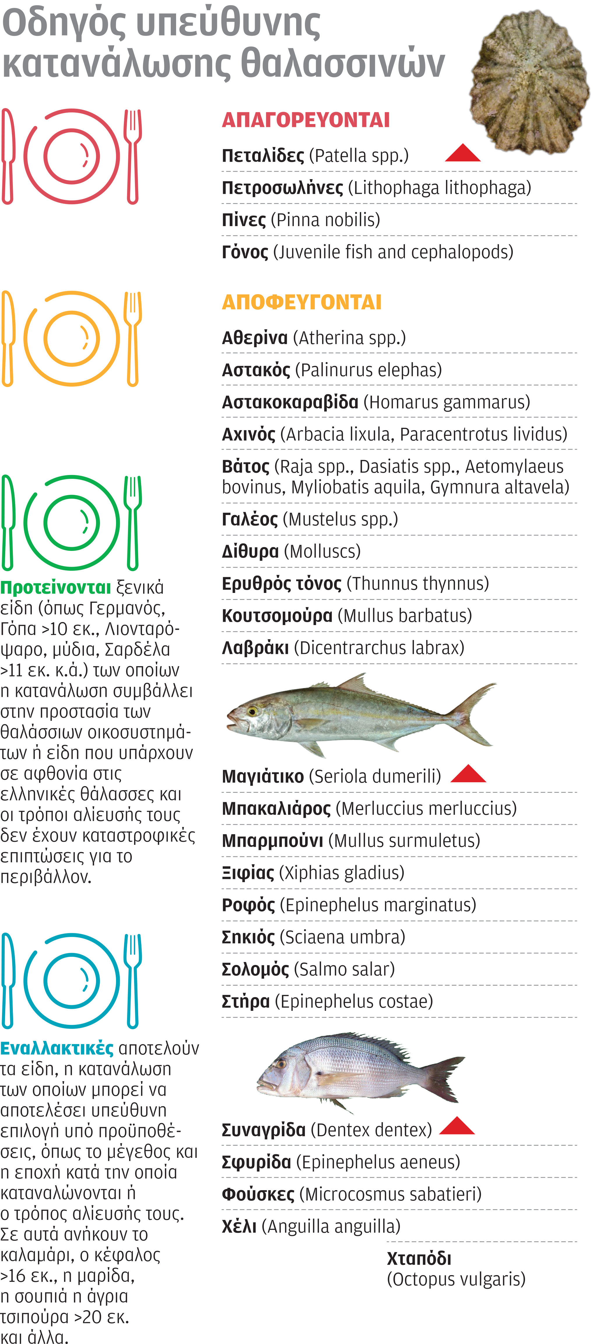 Η «ηθική» του καλοκαιρινού μεζέ-1