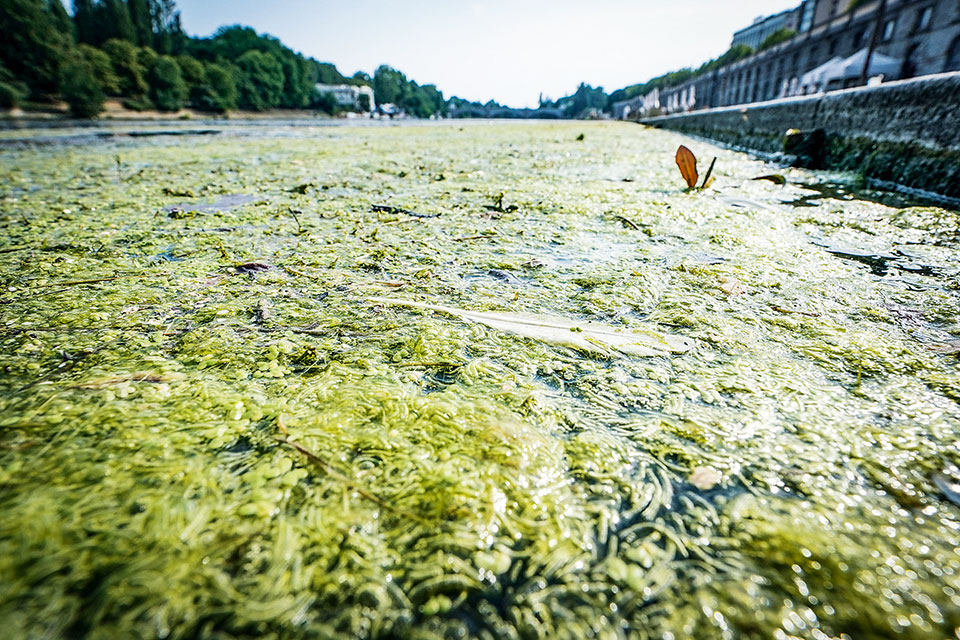 Explainer: Γιατί οι καύσωνες χτυπούν όλο και πιο συχνά την Ευρώπη-2