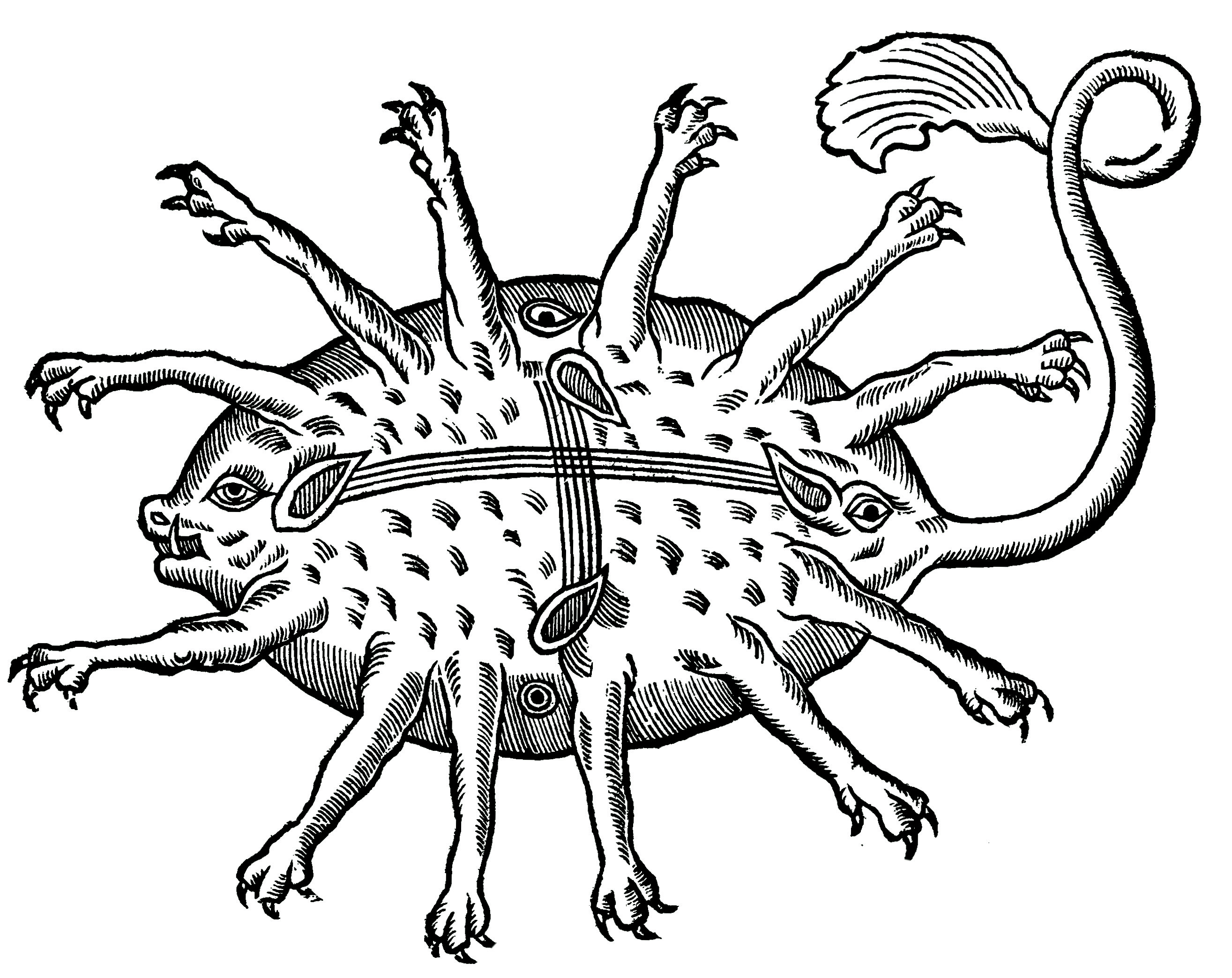 Οταν στις θάλασσες ζούσαν τέρατα-2