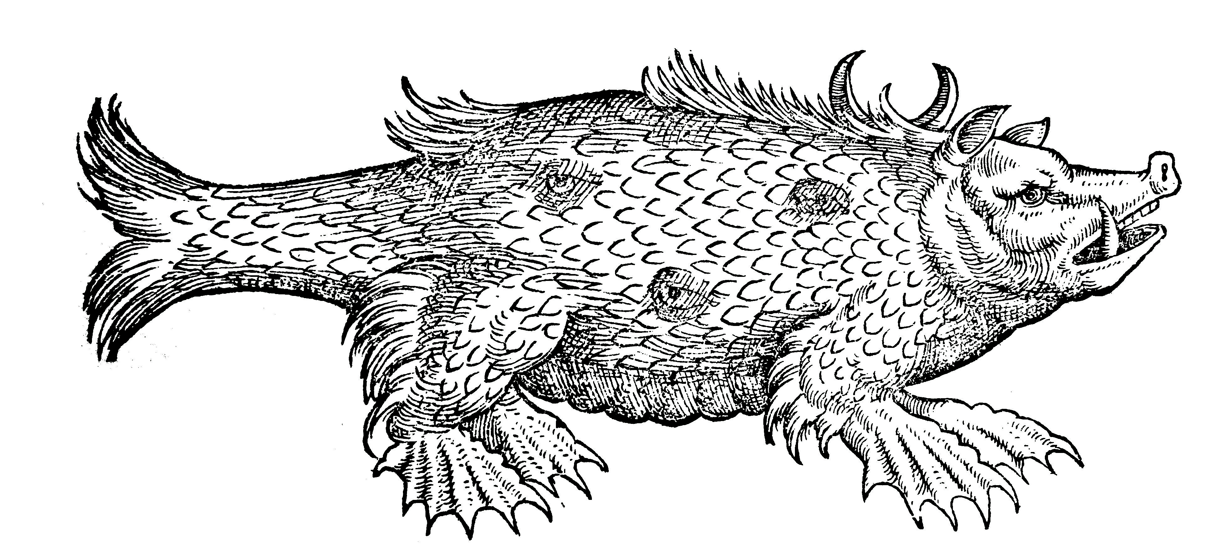 Οταν στις θάλασσες ζούσαν τέρατα-5